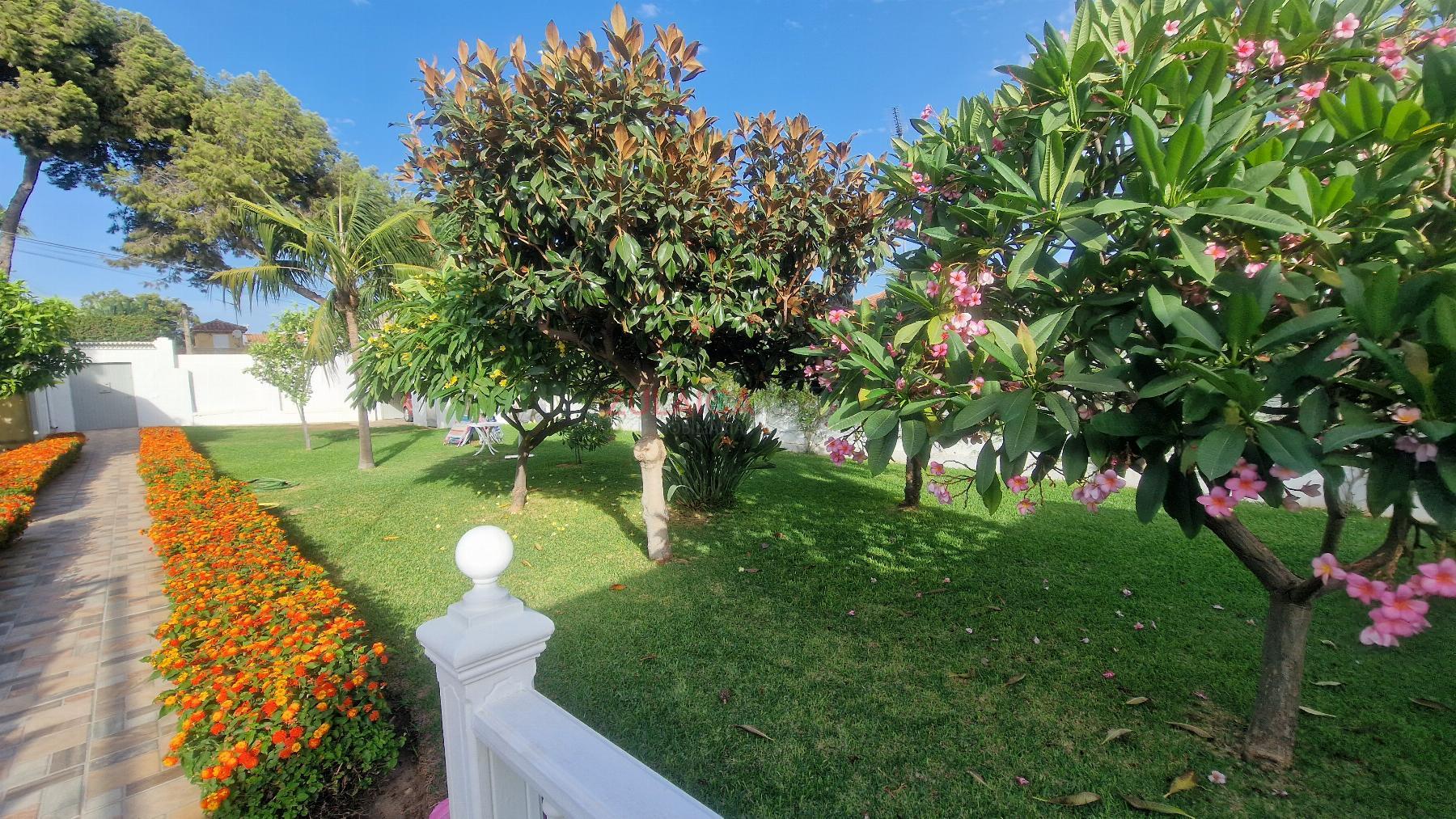 Jardín