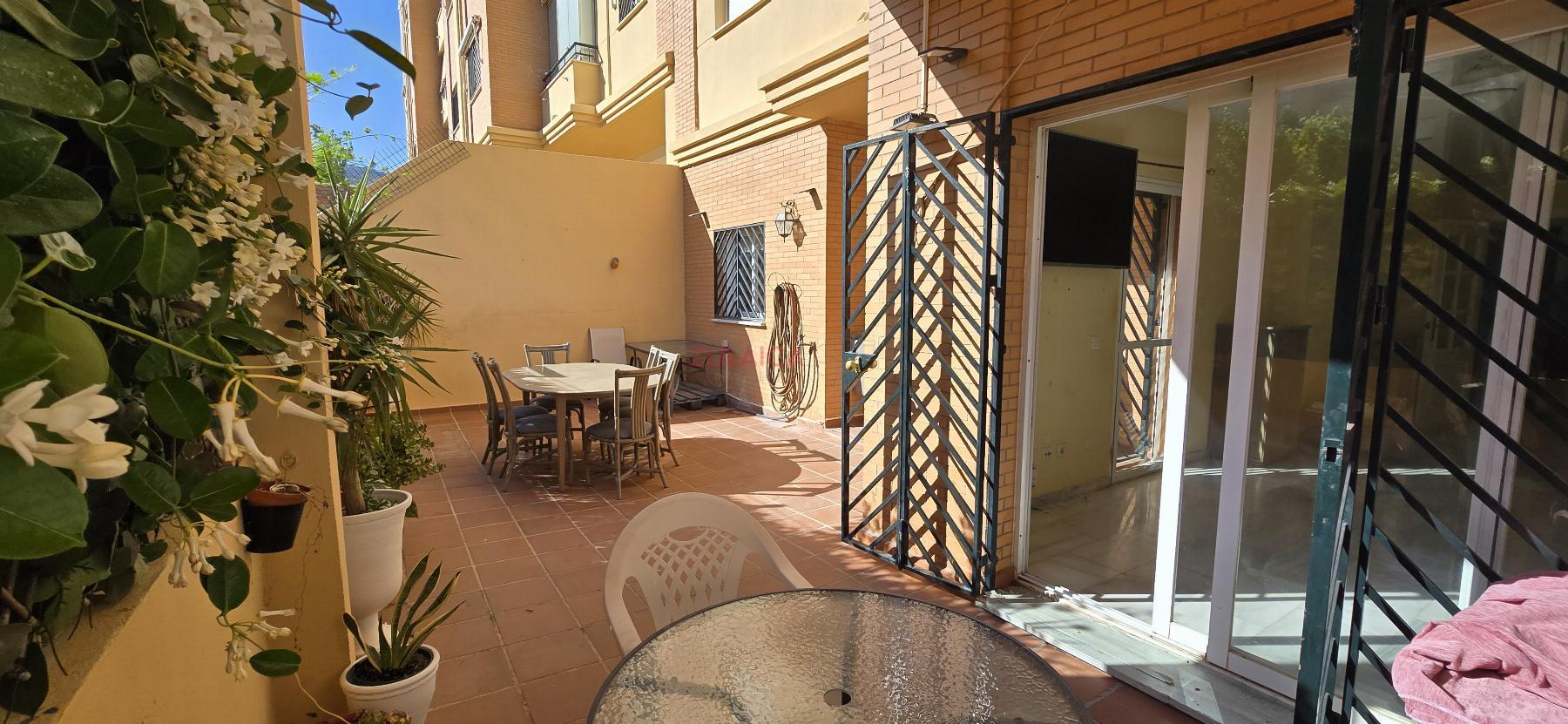 Terraza