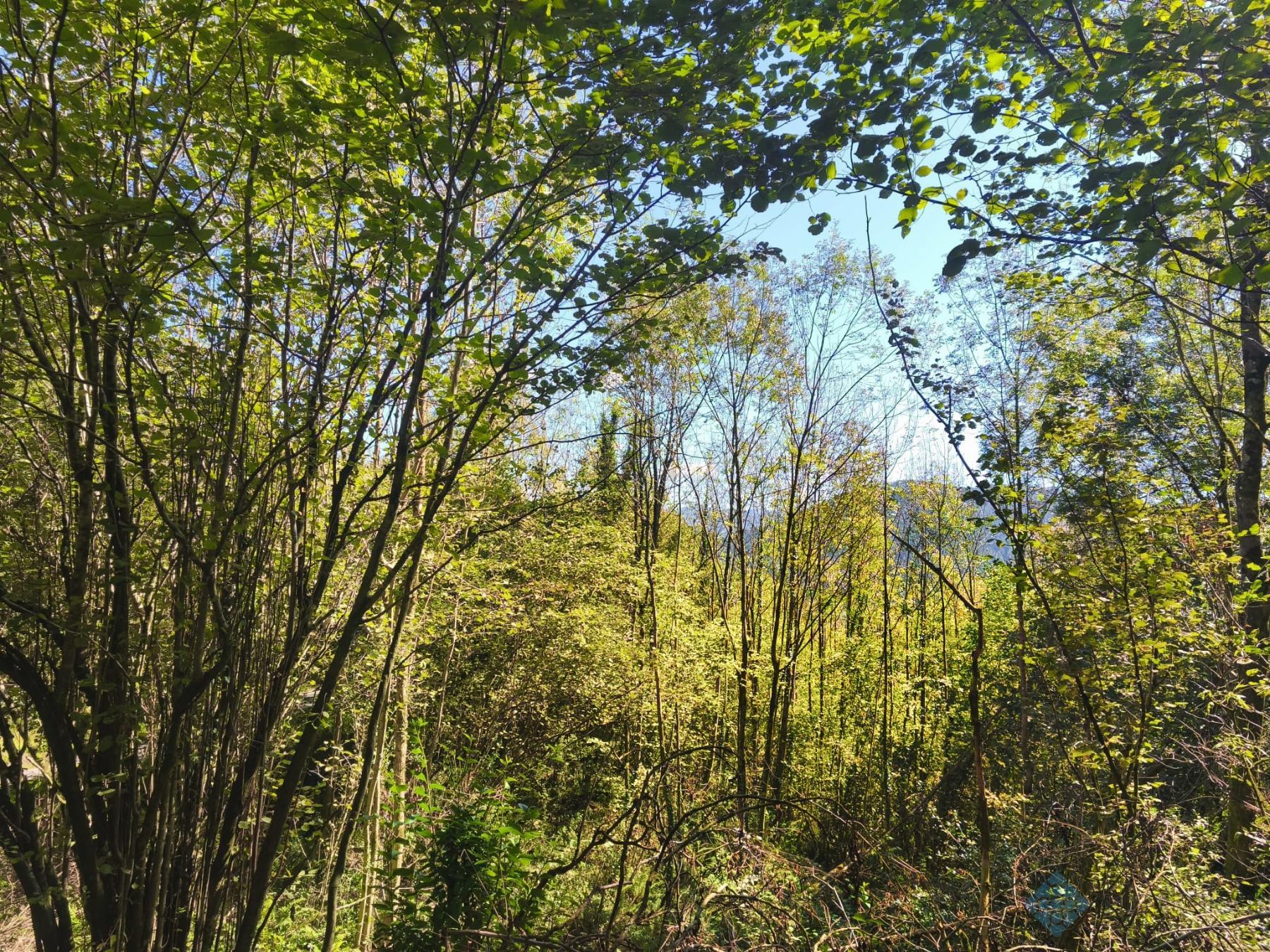 Venta de chalet en Elorrio