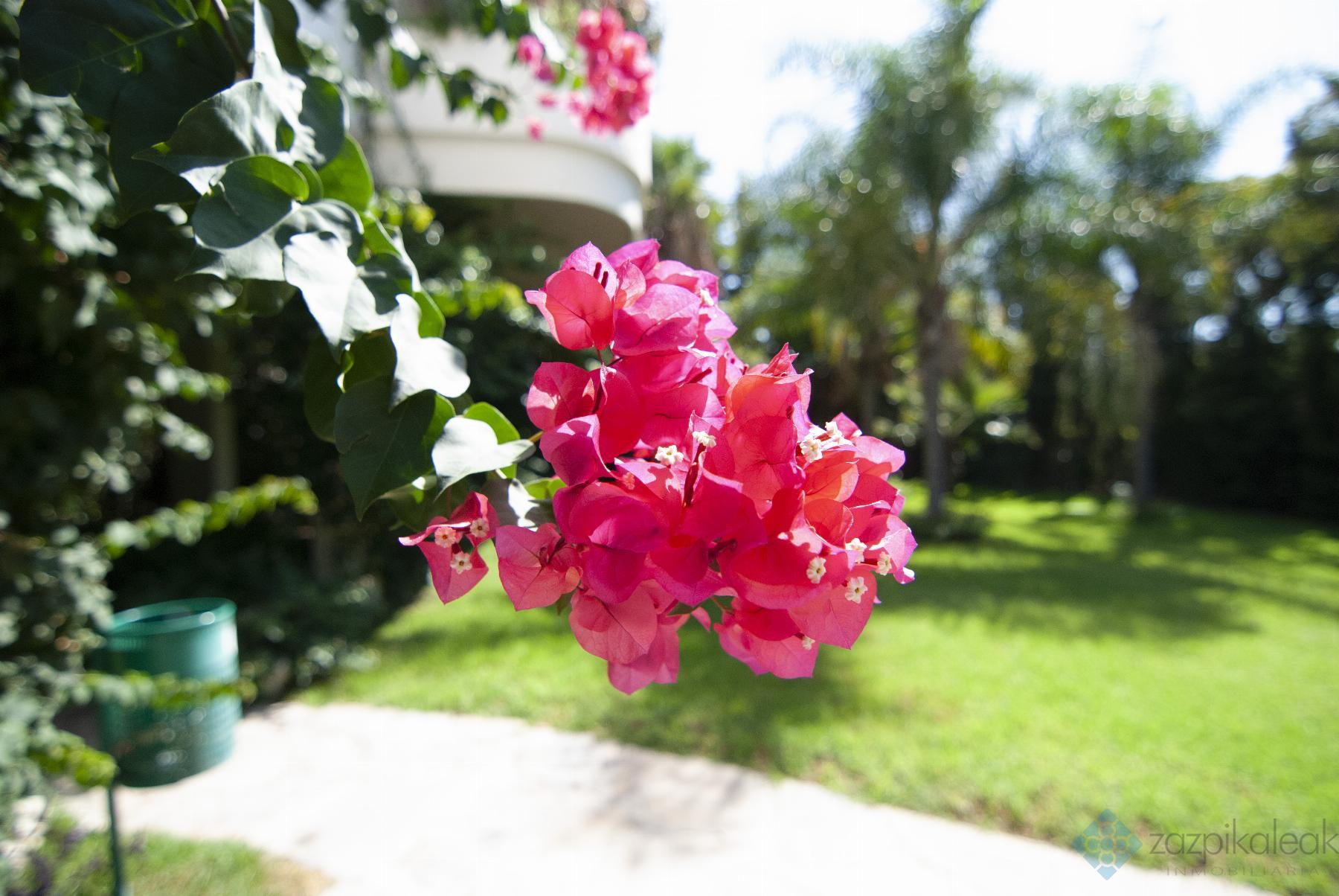 Venta de piso en Marbella