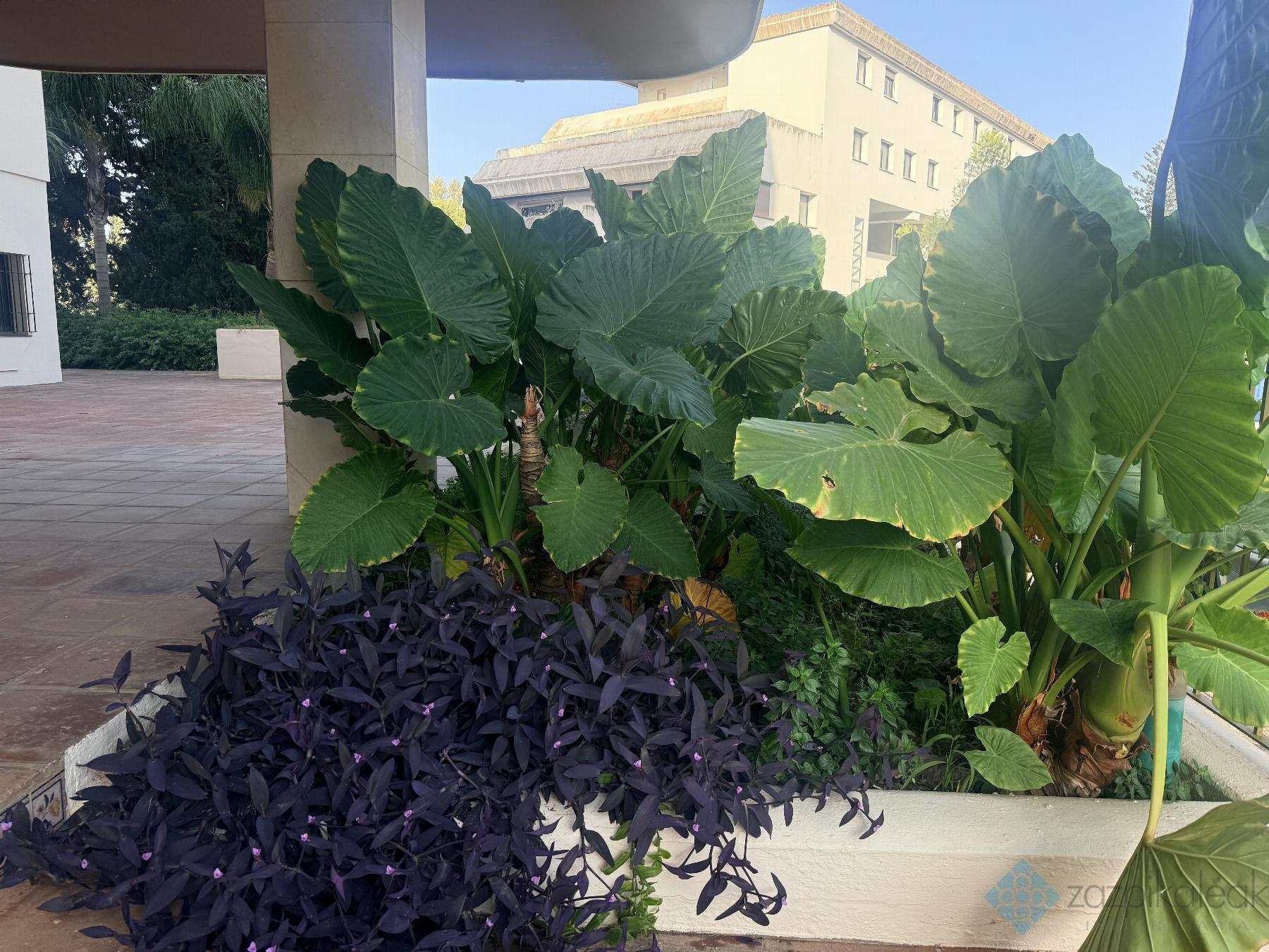 Venta de piso en Marbella