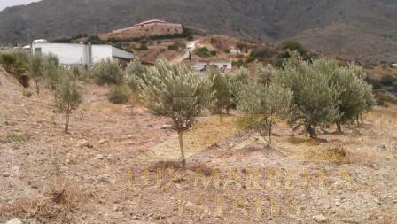 For sale of land in Estepona