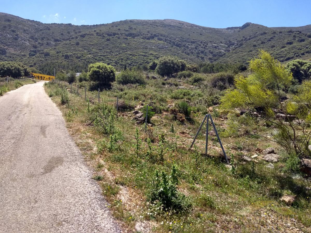 For sale of land in Ronda
