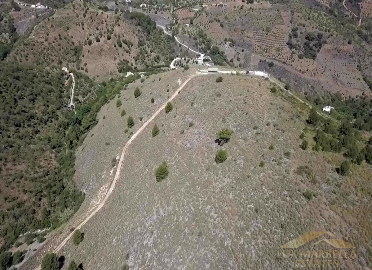 For sale of land in Guaro