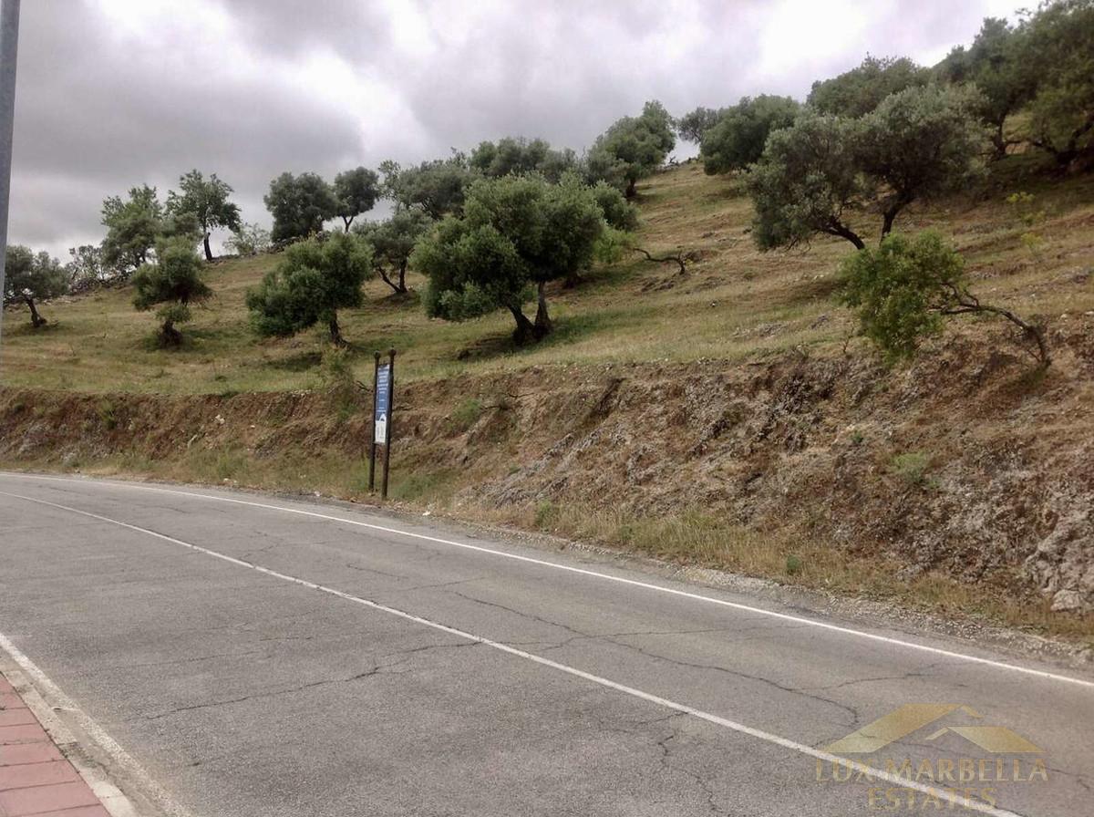 For sale of land in Cañete la Real