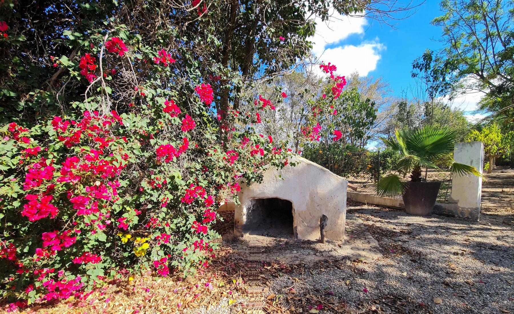 Venta de finca de recreo en Cartagena