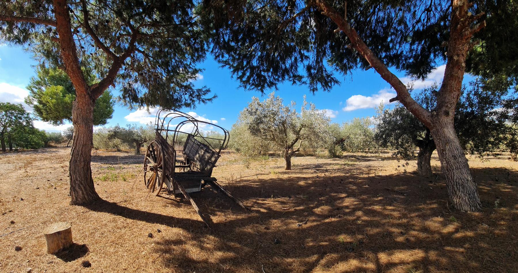 Venta de finca de recreo en Cartagena