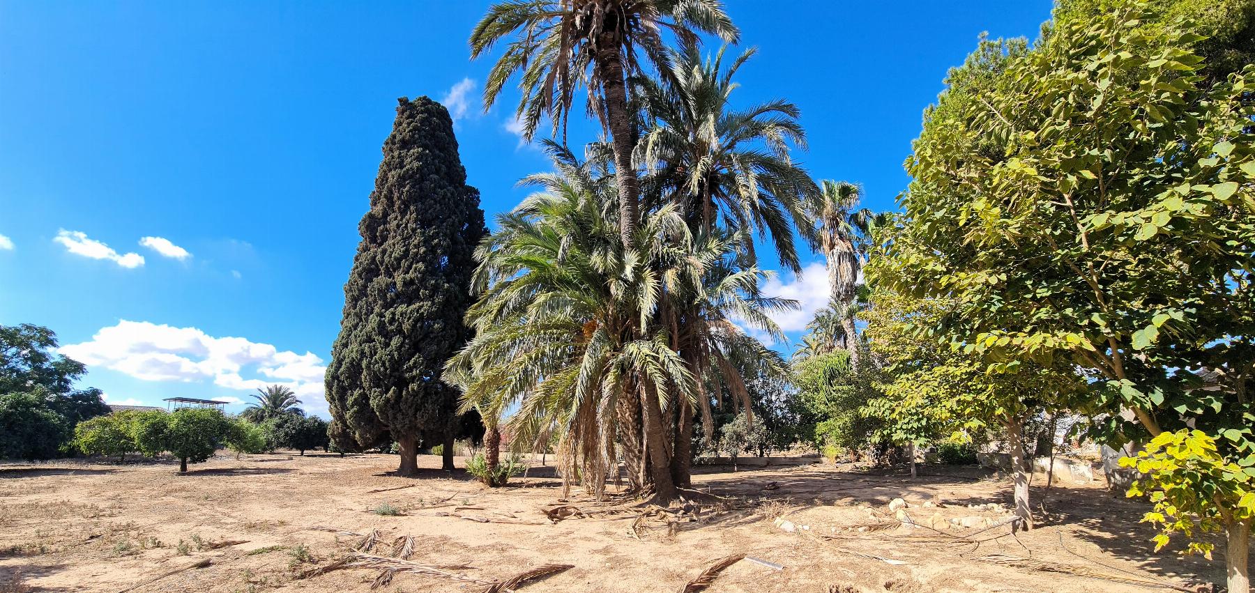 Venta de finca de recreo en Cartagena