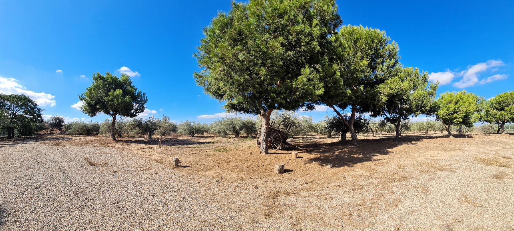 Venta de finca de recreo en Cartagena
