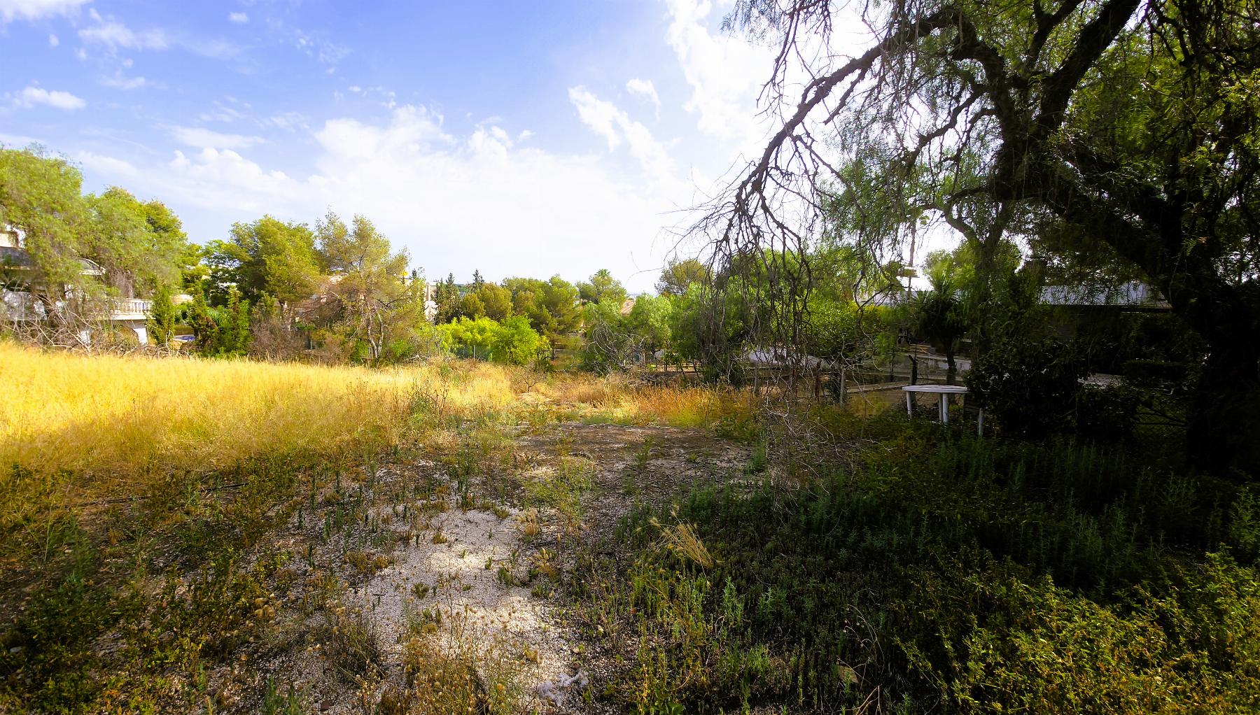 Ground