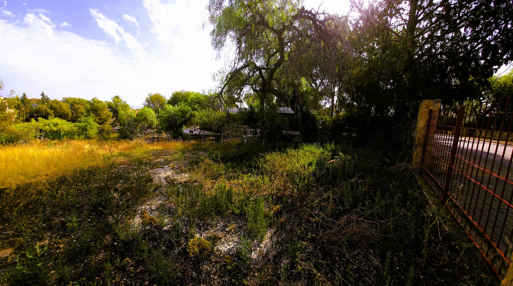 Ground