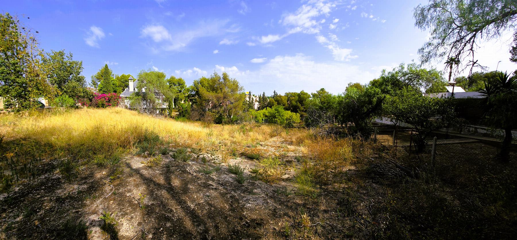 Ground