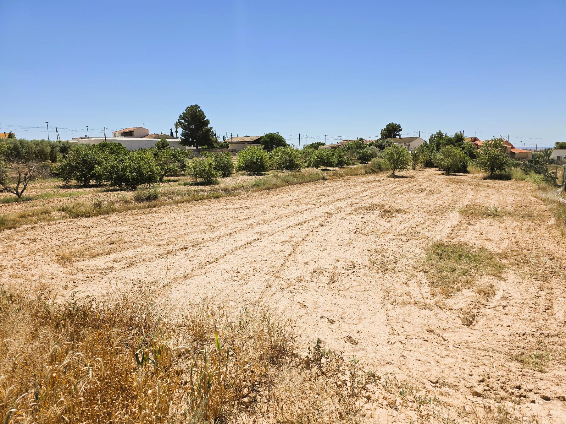 Ground