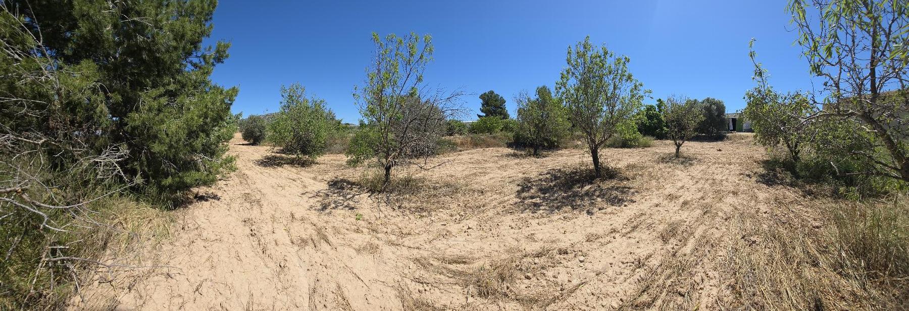 Ground