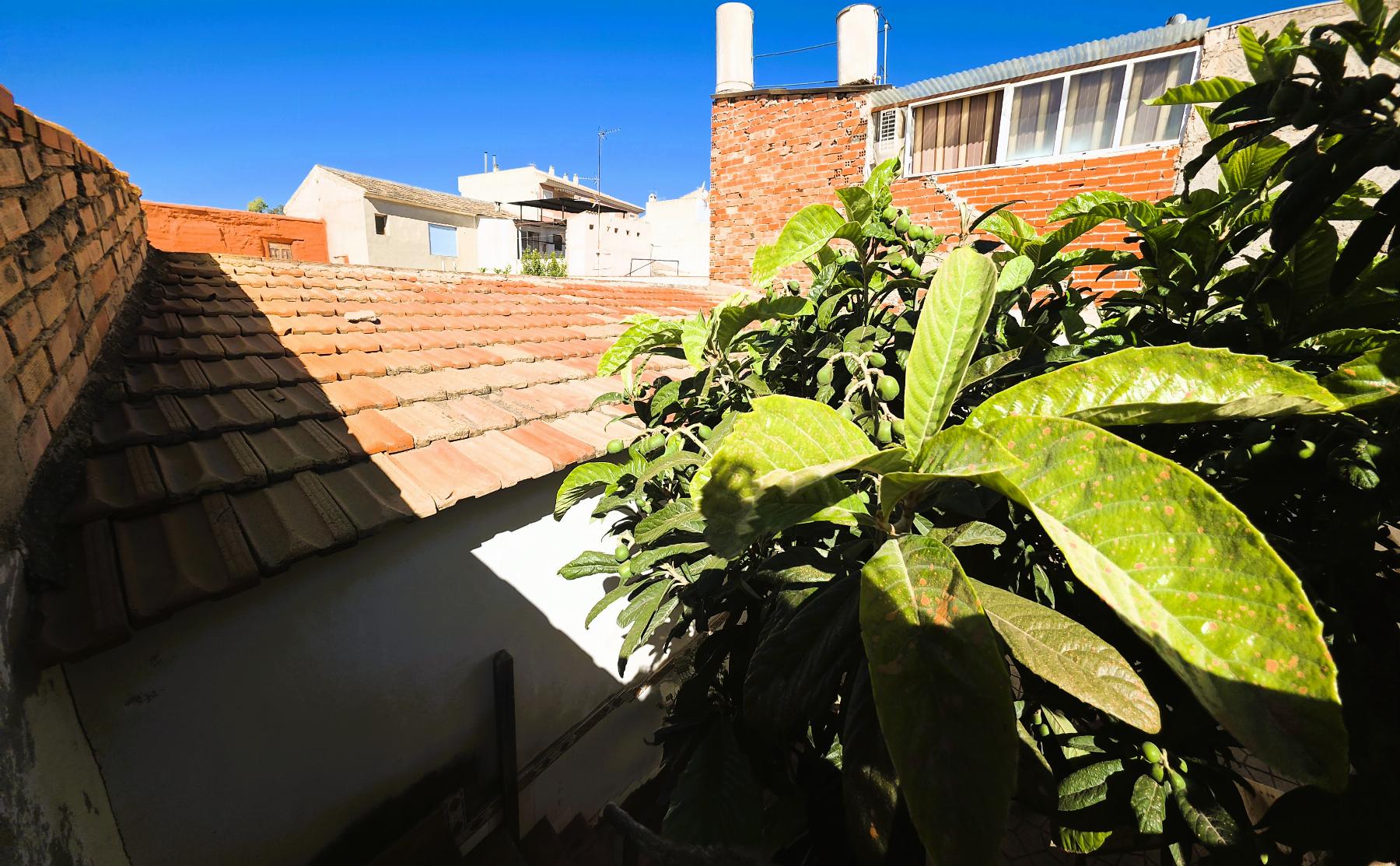 Terraza