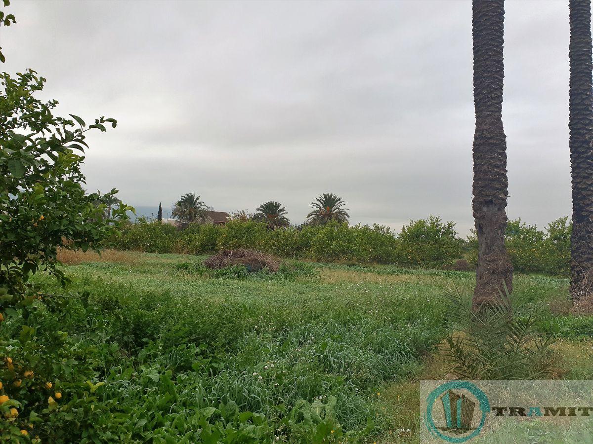 For sale of land in La Alberca