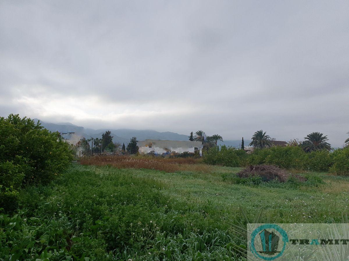 For sale of land in La Alberca