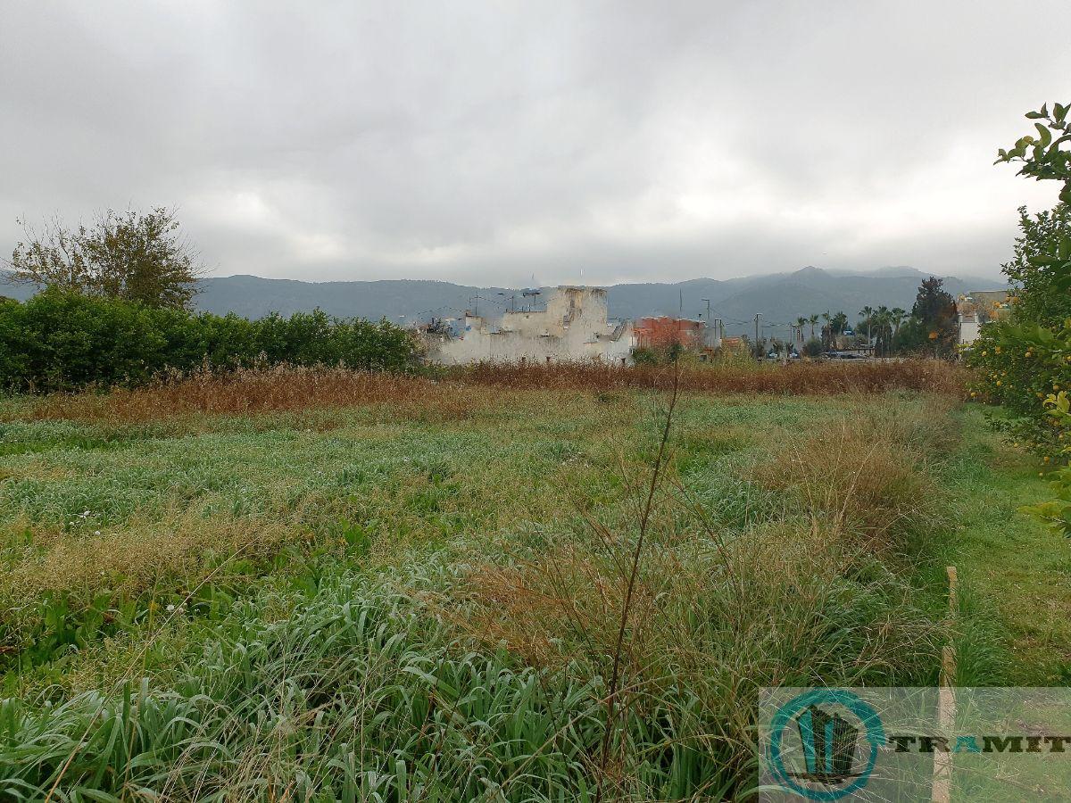 For sale of land in La Alberca