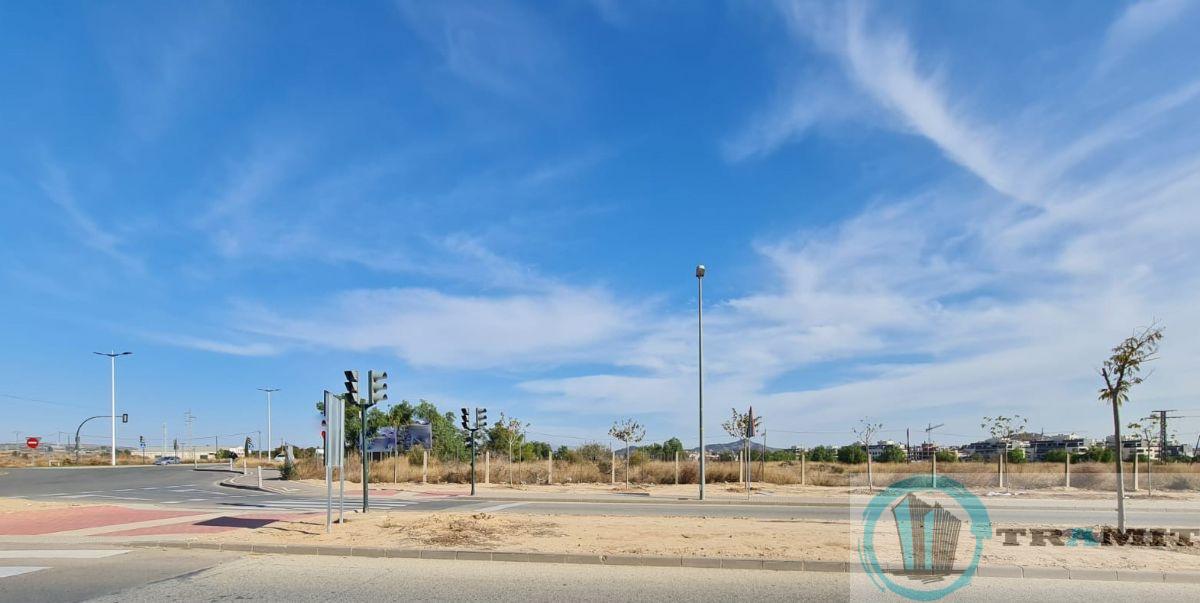 For sale of land in Churra