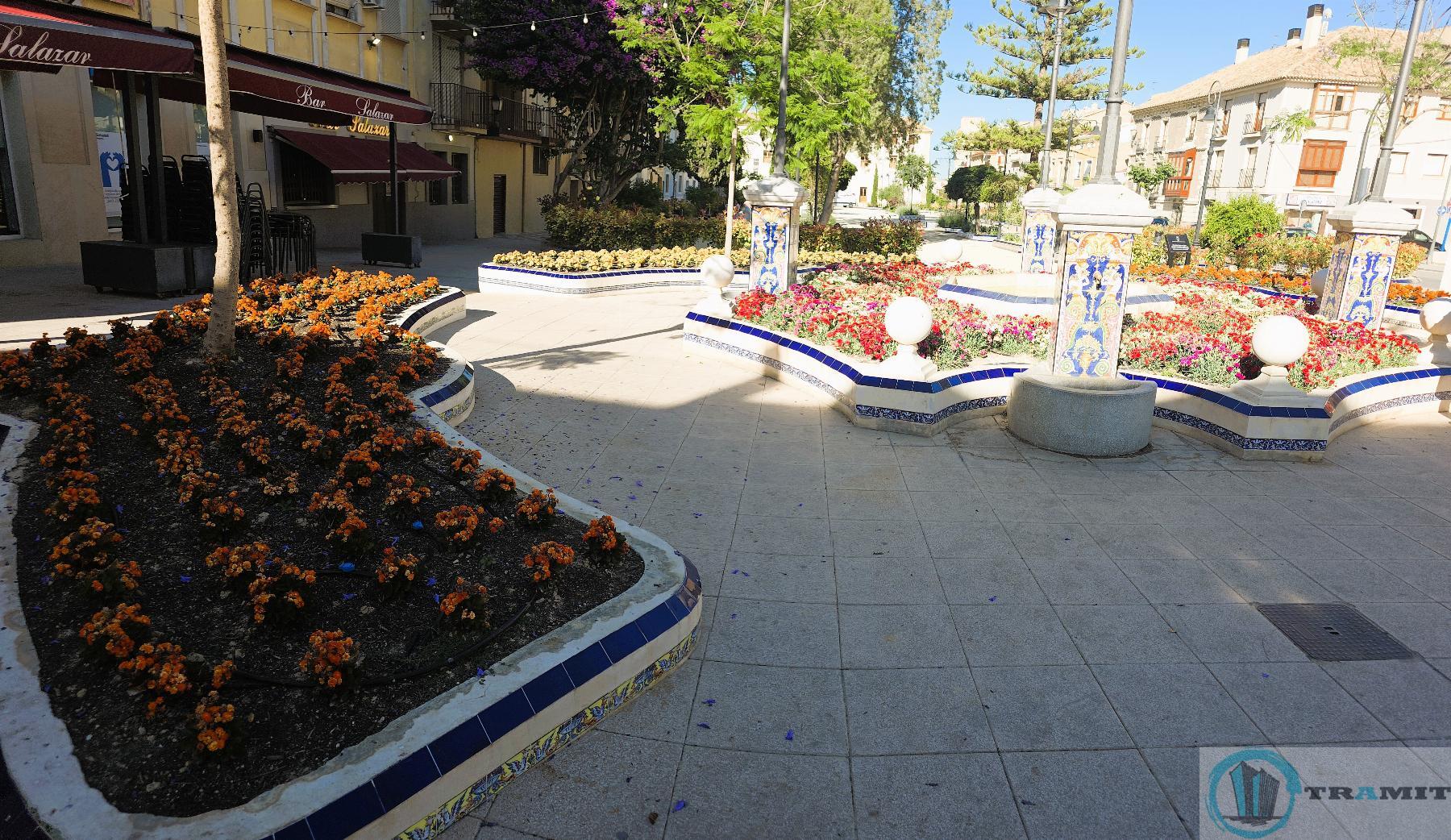 Alrededores