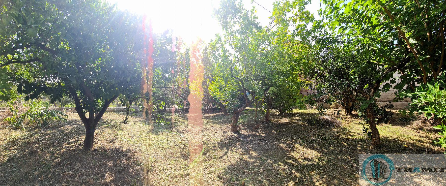 Ground