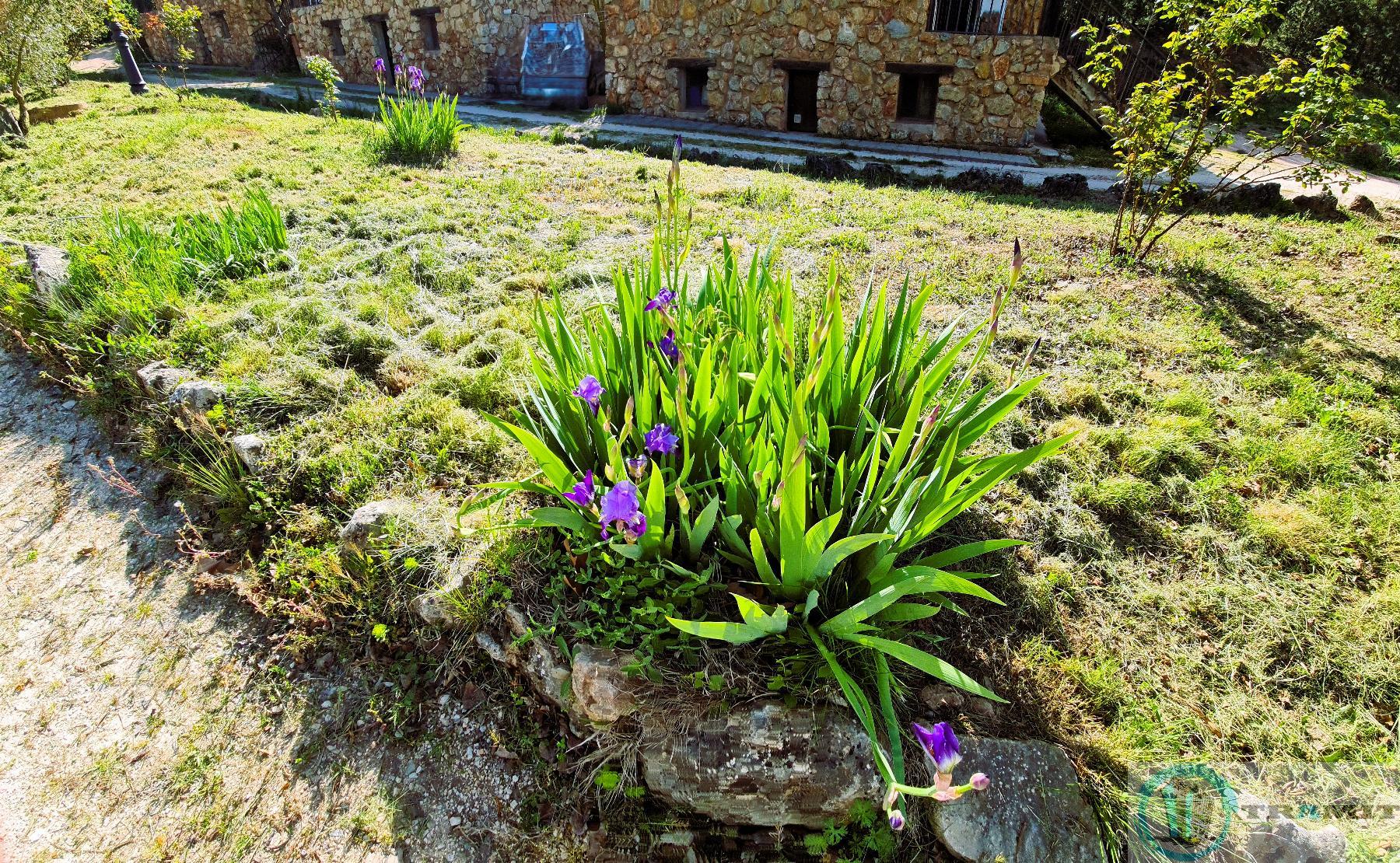 Estancia