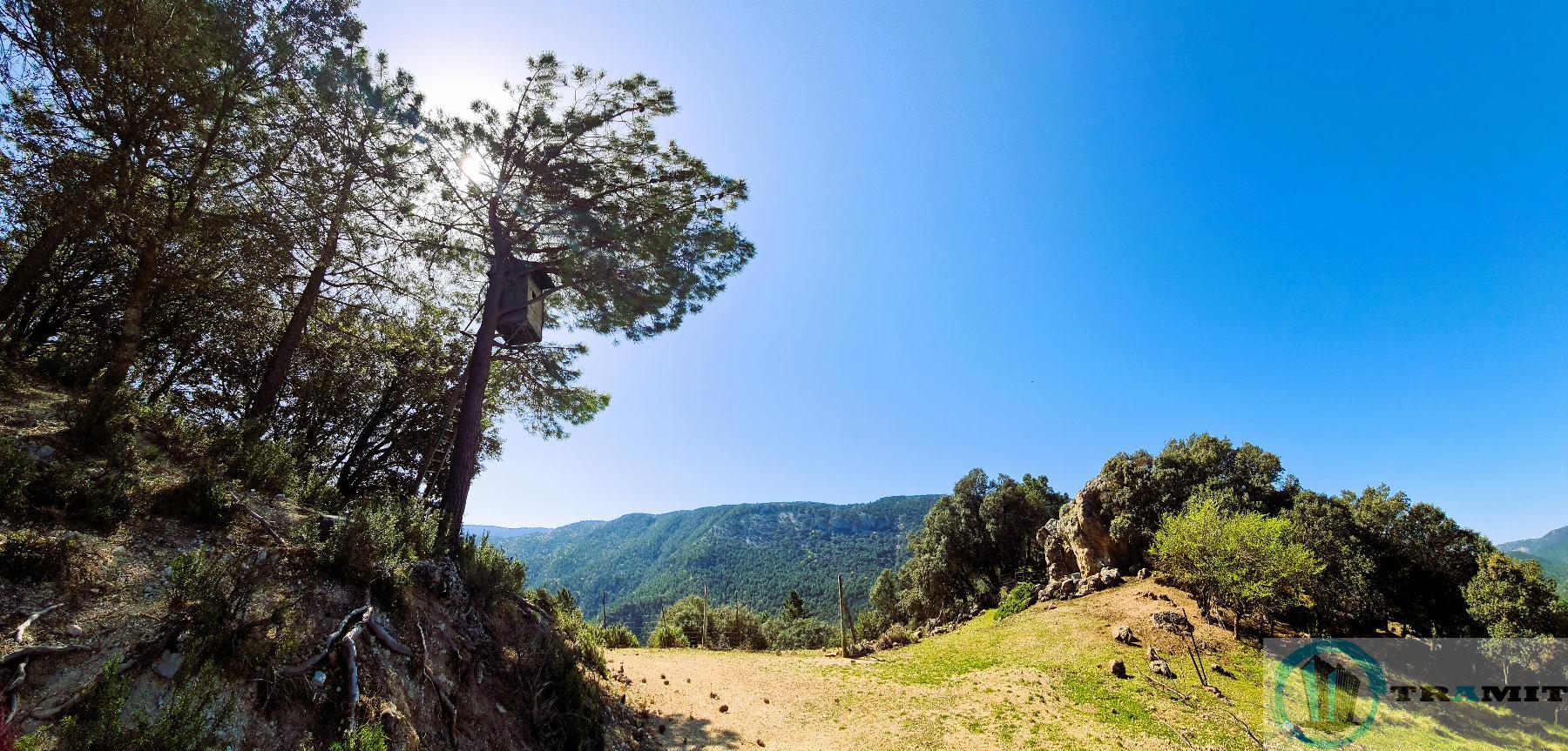 Terreno