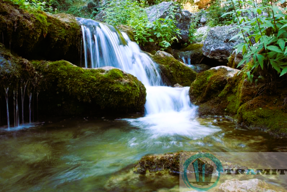 Alrededores