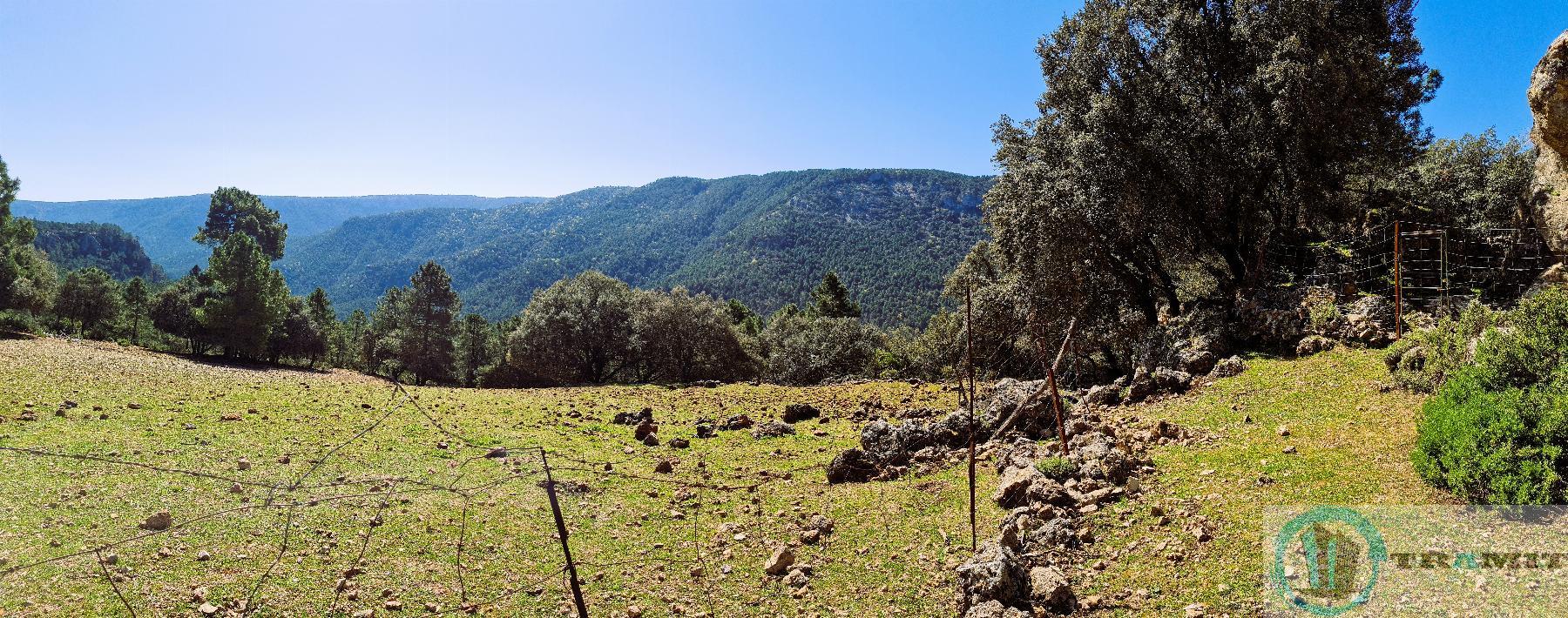 Terreno