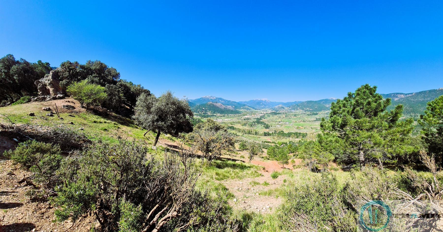 Terreno
