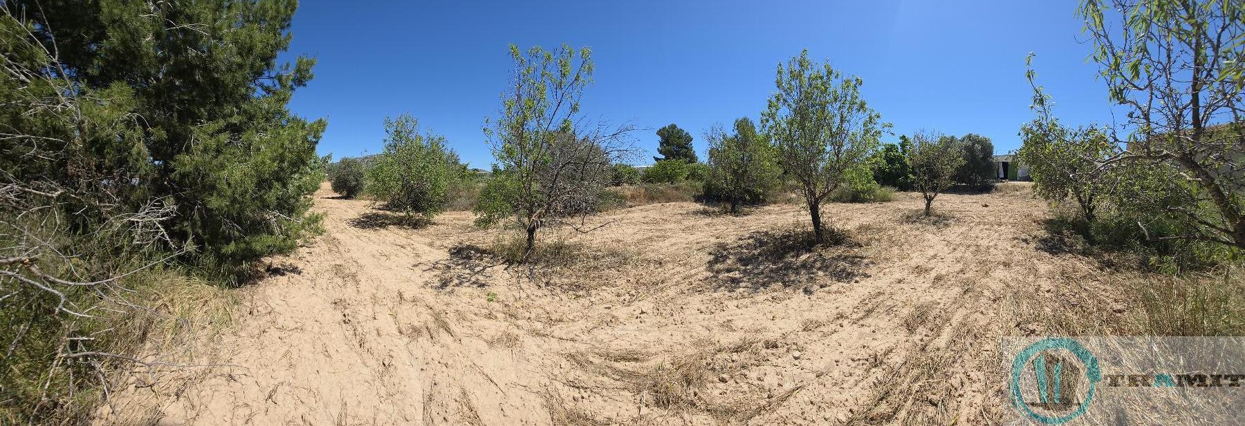Ground