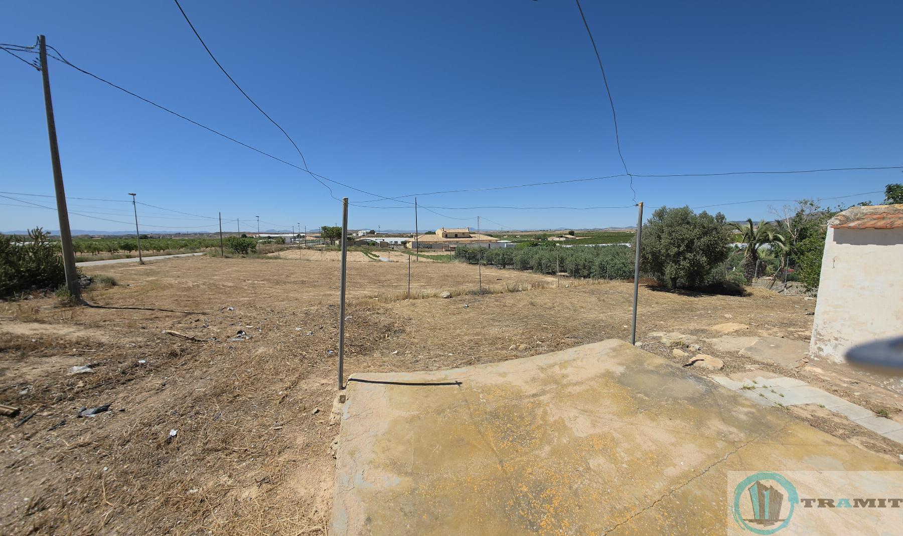 Ground