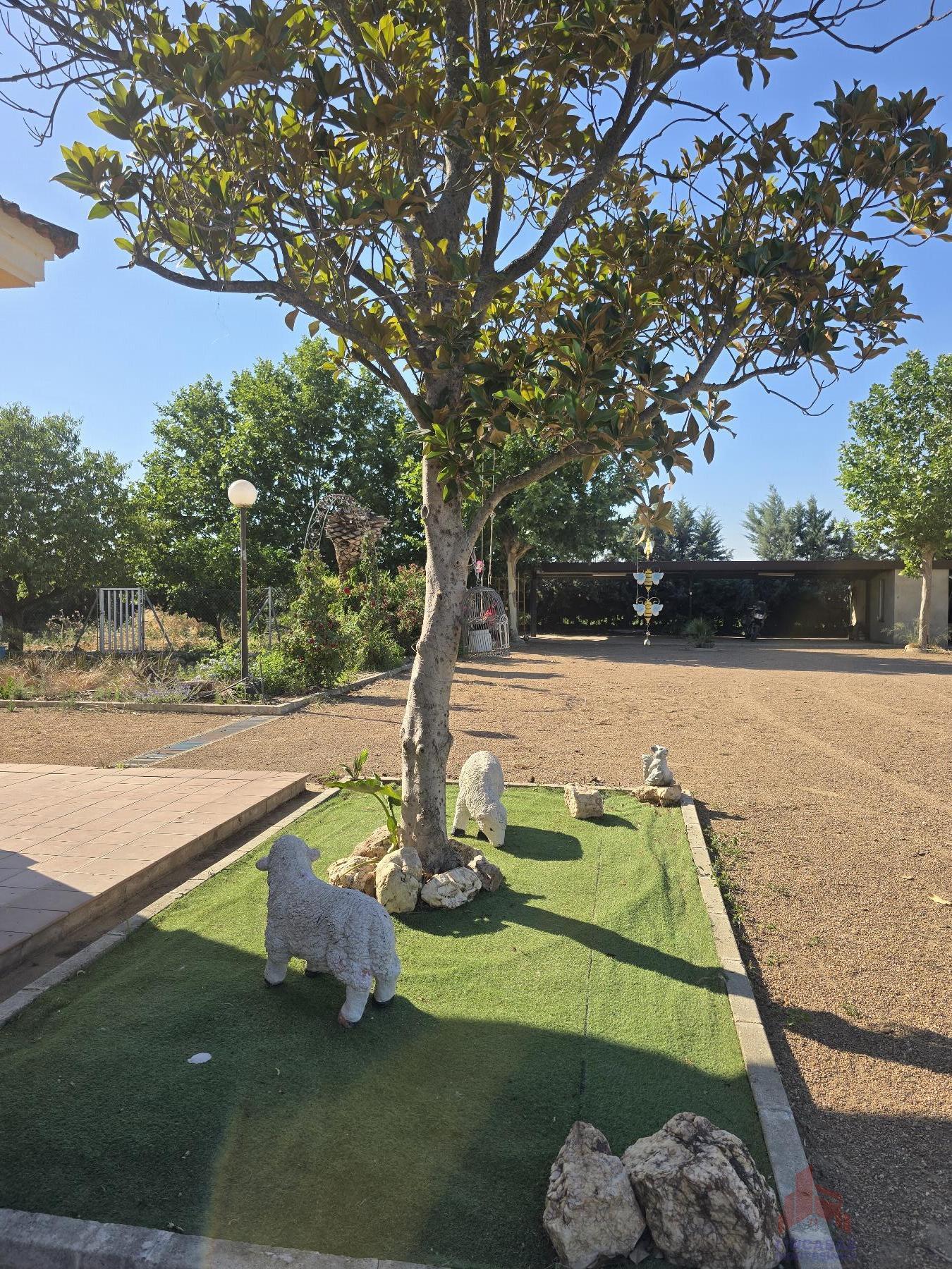 Jardín