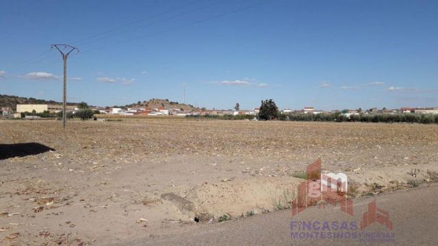 For sale of land in Santa Amalia