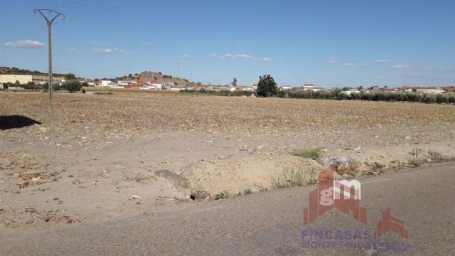 For sale of land in Santa Amalia