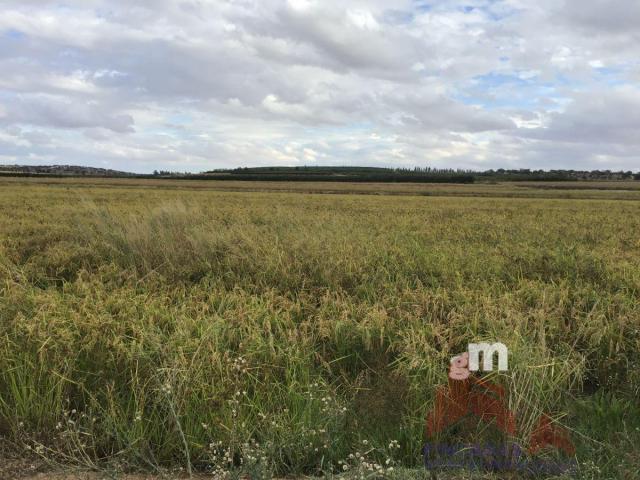 Terreno en venta en GARGALIGAS, Santa Amalia