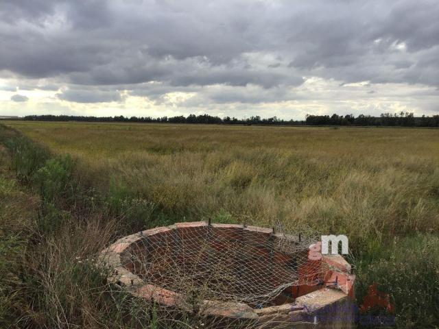 Venta de terreno en Santa Amalia