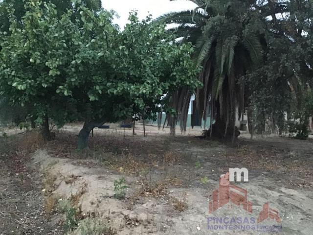 For sale of land in Villanueva de la Serena