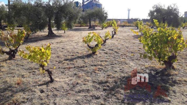 Venta de terreno en Don Benito