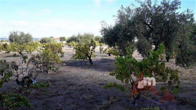 Venta de terreno en Don Benito