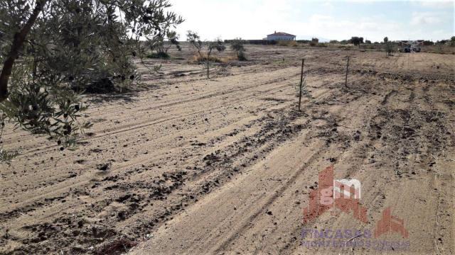 Venta de terreno en Don Benito