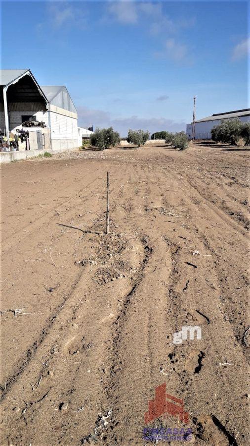 Venta de terreno en Don Benito