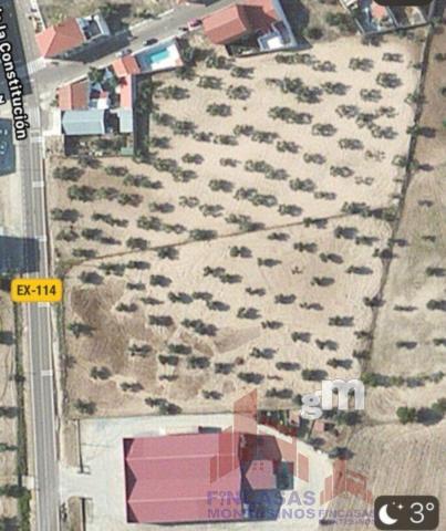 For sale of land in Quintana de la Serena