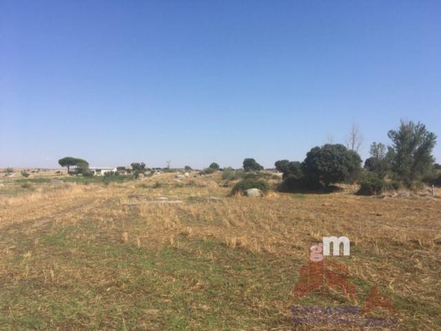 For sale of land in Quintana de la Serena