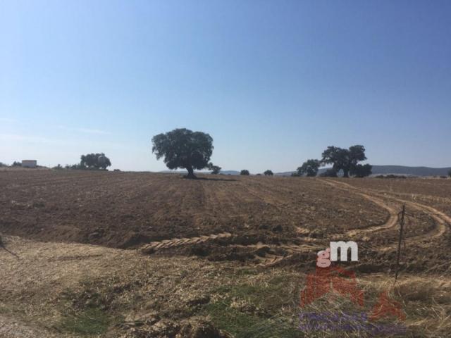 For sale of land in Quintana de la Serena