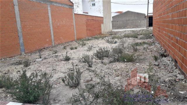 For sale of land in Santa Amalia