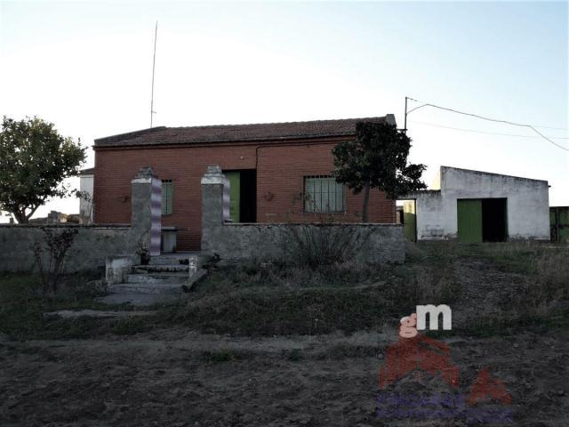 For sale of house in Quintana de la Serena