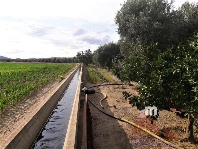 Venta de terreno en Santa Amalia