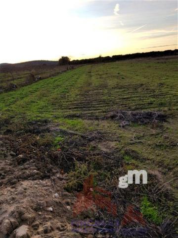 For sale of land in Almoharín