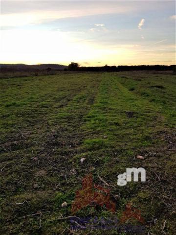 For sale of land in Almoharín